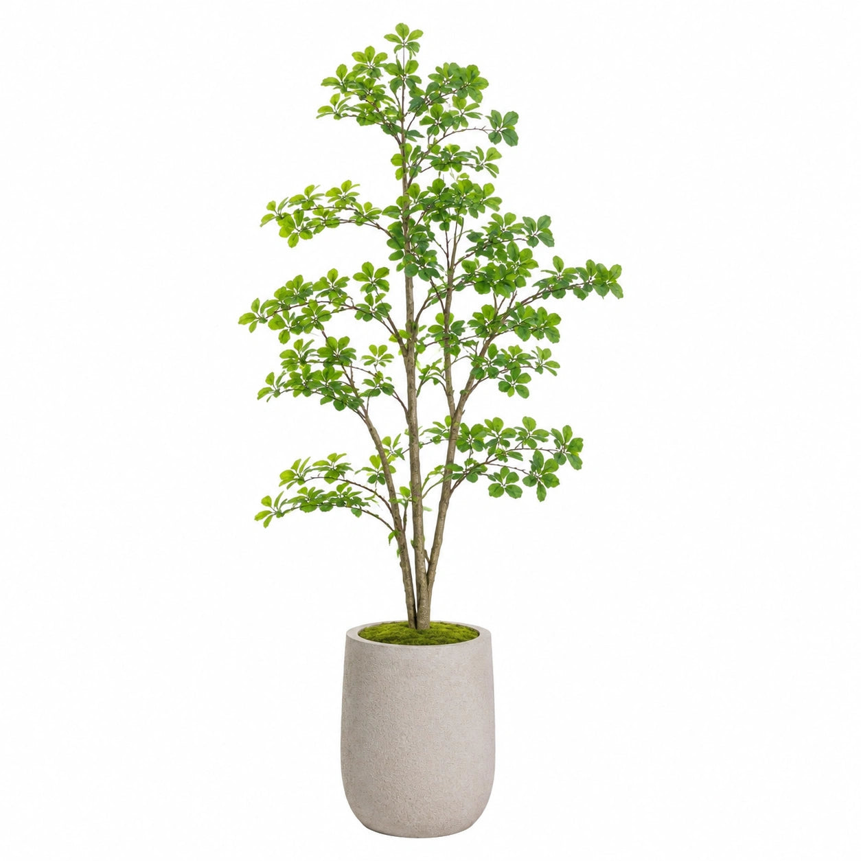 Albero artificiale 210 cm con vaso in cemento grigio per interni