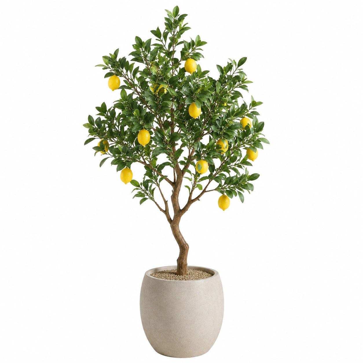 Albero artificiale di limone 180 cm con vaso in cemento per interni