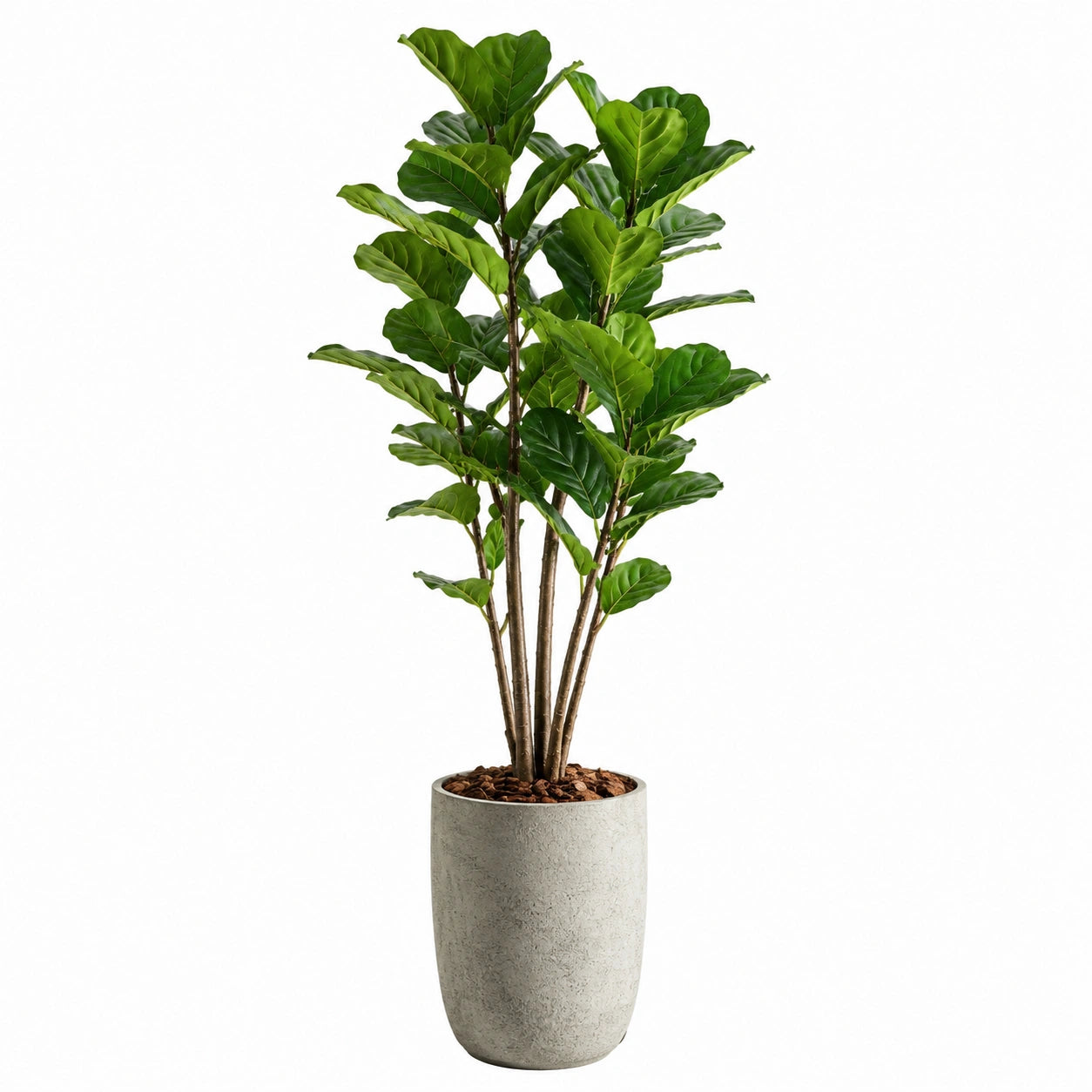 Pianta artificiale Ficus lyrata 180 cm in plastica verde con vaso in cemento per interni