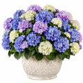 Pianta artificiale di ortensia 50 cm in tessuto blu viola e crema con vaso decorativo