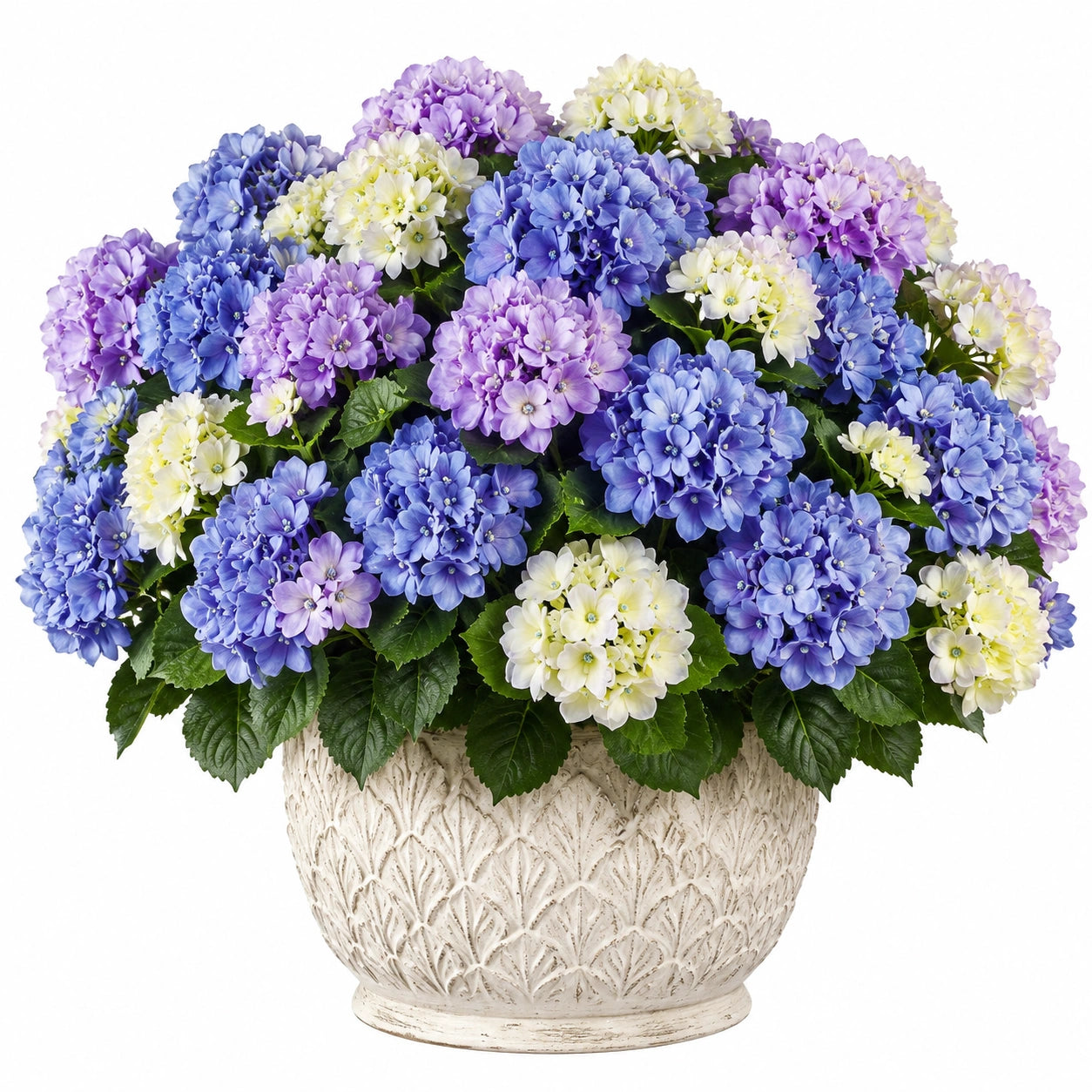 Pianta artificiale di ortensia 50 cm in tessuto blu viola e crema con vaso decorativo