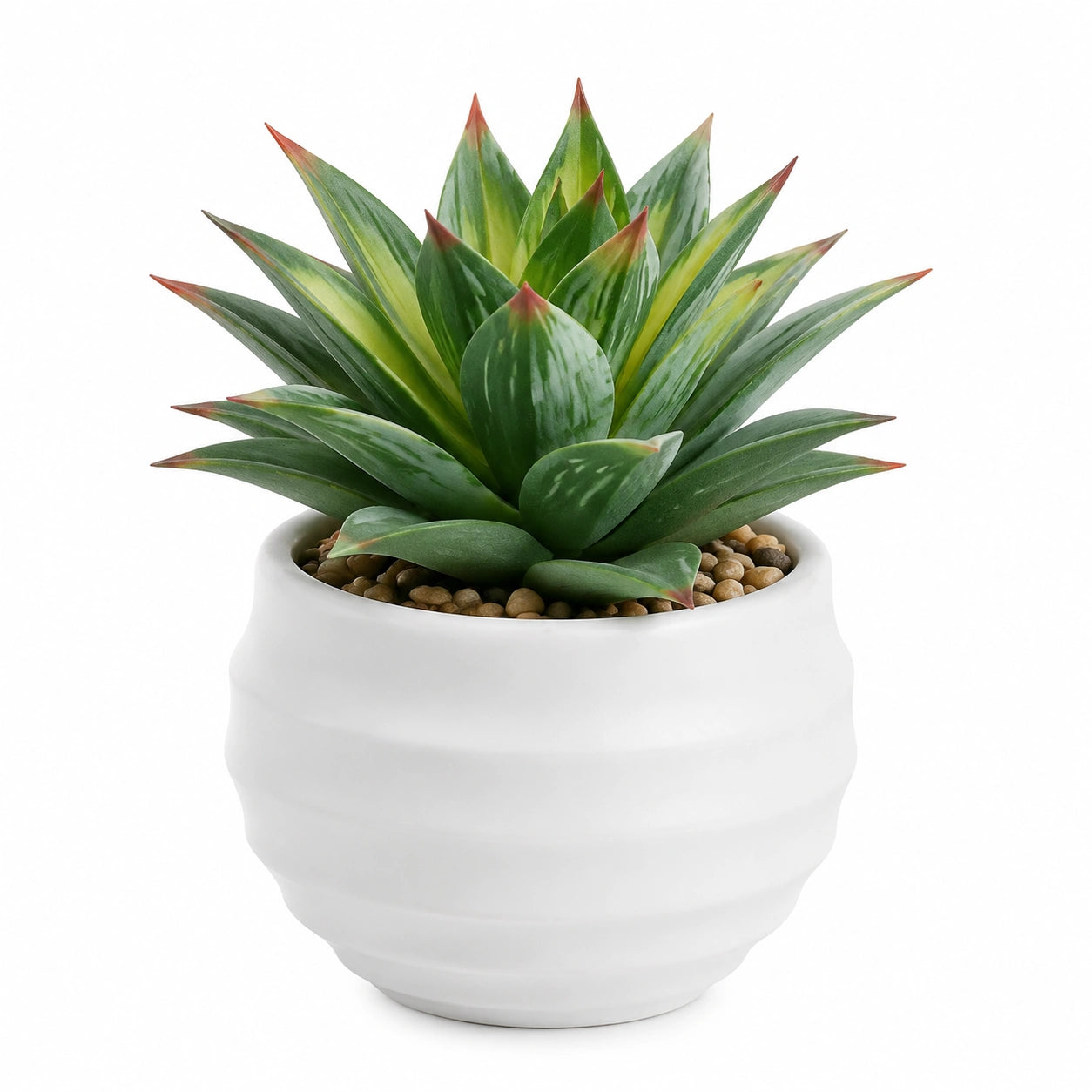 Pianta succulenta artificiale in vaso 24 cm plastica verde e bianco decorazione moderna